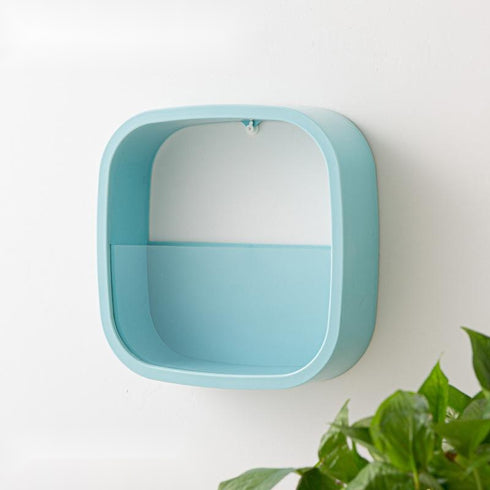 Flower Pot Wall-mounted Radish Copper Money Grass Wall-mounted