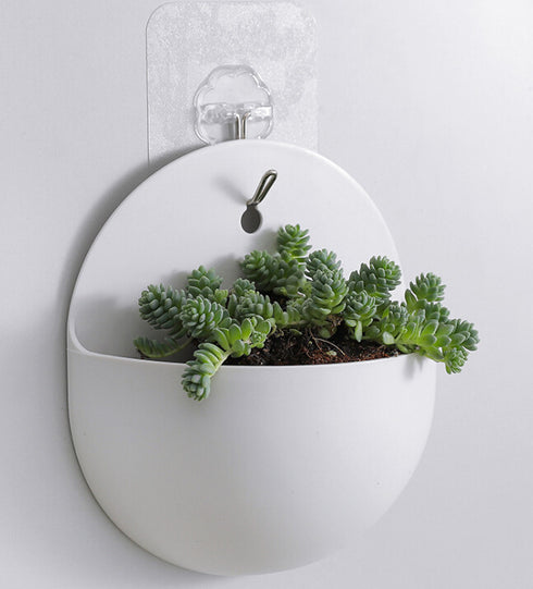 Plastic Wall Hanging Green Dill Hanging Flower Pot