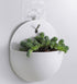 Plastic Wall Hanging Green Dill Hanging Flower Pot