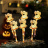 Halloween Decoration Lights Holiday LED Ambient Light