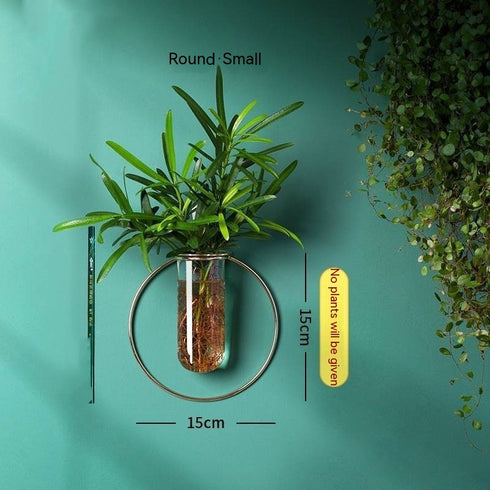 Vase Decoration Wall-mounted Hydroponic Flowerpot Hanging Wall Hanging