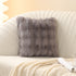 Sofa Living Room Modern Simple Throw Pillow